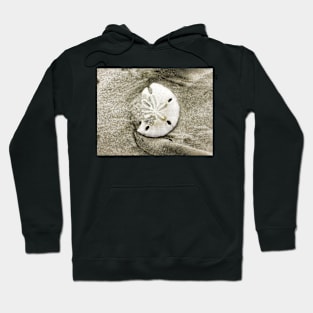 Sand Dollar Shell Hoodie